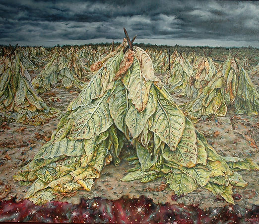 For Our Ancestors, Calvert County Tobacco