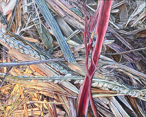 hay and tendons