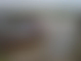 TODO DIA É DIA DE ENCALHAR