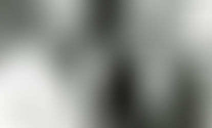 The Đorđe Martinović Incident