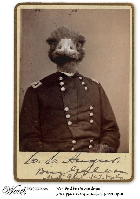 Emu Commander Humourously edited photograph of Civil War general Christopher C. Augur to parody the Great Emu War Date 5 October 1932 Source Own work Author JuggaloICP