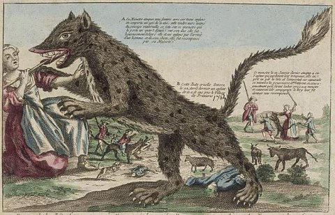 Le Loup Garou : The text beneath reads something like: 'The ferocious beast named hyena eats humans, particularly women and children, tearing out their hearts and ripping off their heads. It reeked carnage in the Auvergne region of France'. This copper plate engraving bears the date 1767. from: Musée National des Arts et Traditions Populaires