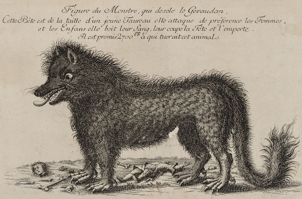 Translation of the text above the drawing: "Drawing of the monster that afflicts Gevaudan. This beast is the size of a young bull. It prefers to attack women and children. It drinks their blood, cuts their head off, and carries them away. 2700 francs are promised to who kills this animal."