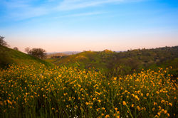 Her Soul Scattered-8835