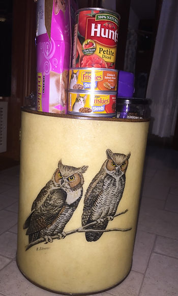 Our unusual RV recycling bin