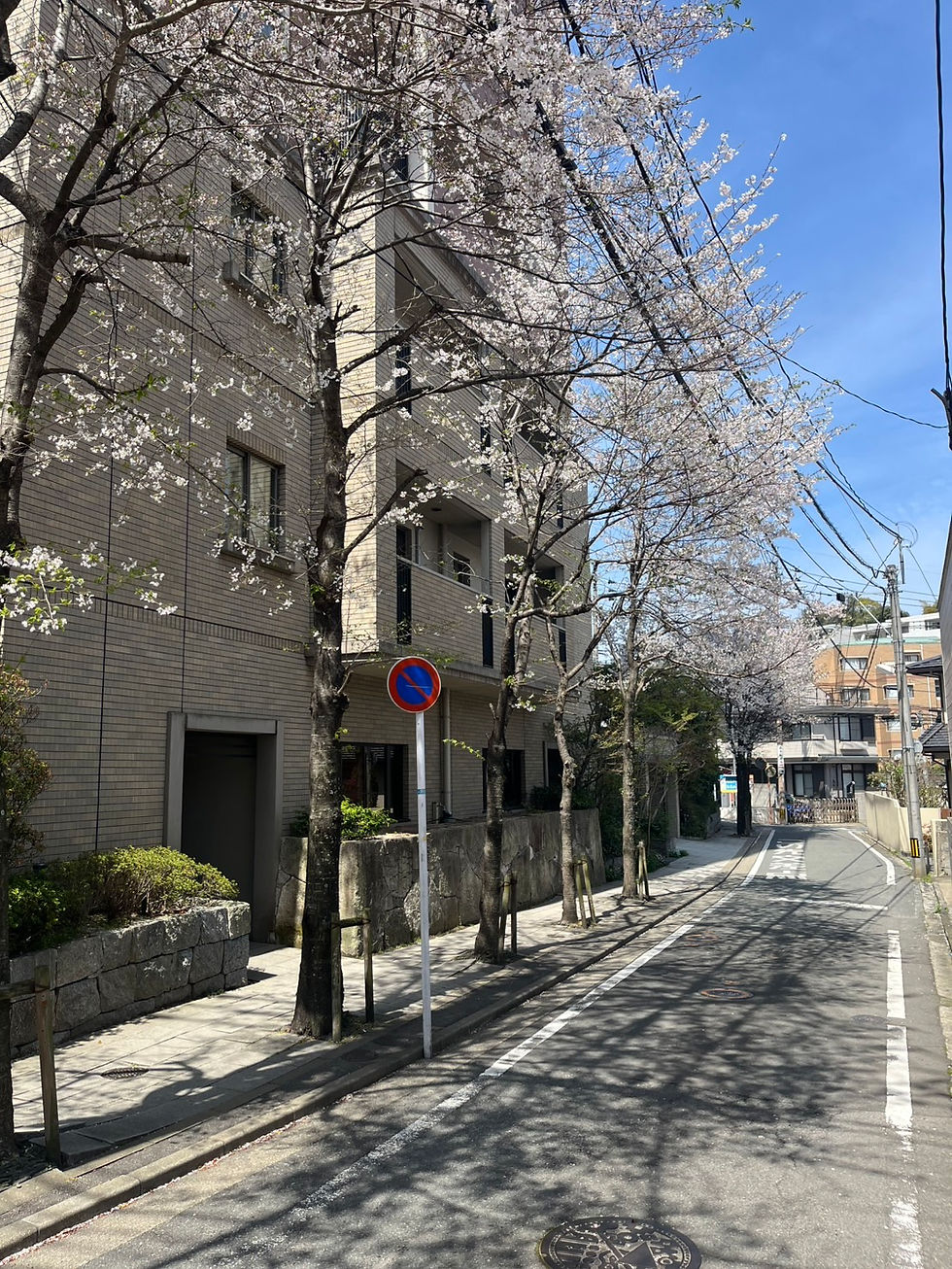 福岡市の訪問診療は桜坂いろりクリニックへ