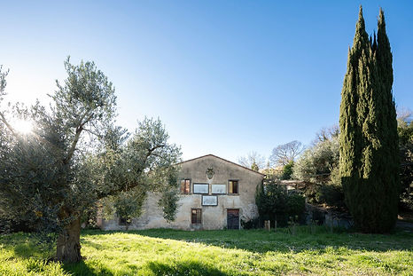 WhatsApp Image 2026-03-03 at 14.12.39.jpeg