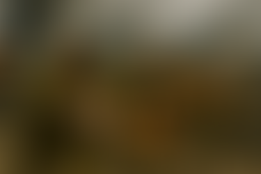 America Needs More Guns to Solve Gun Violence