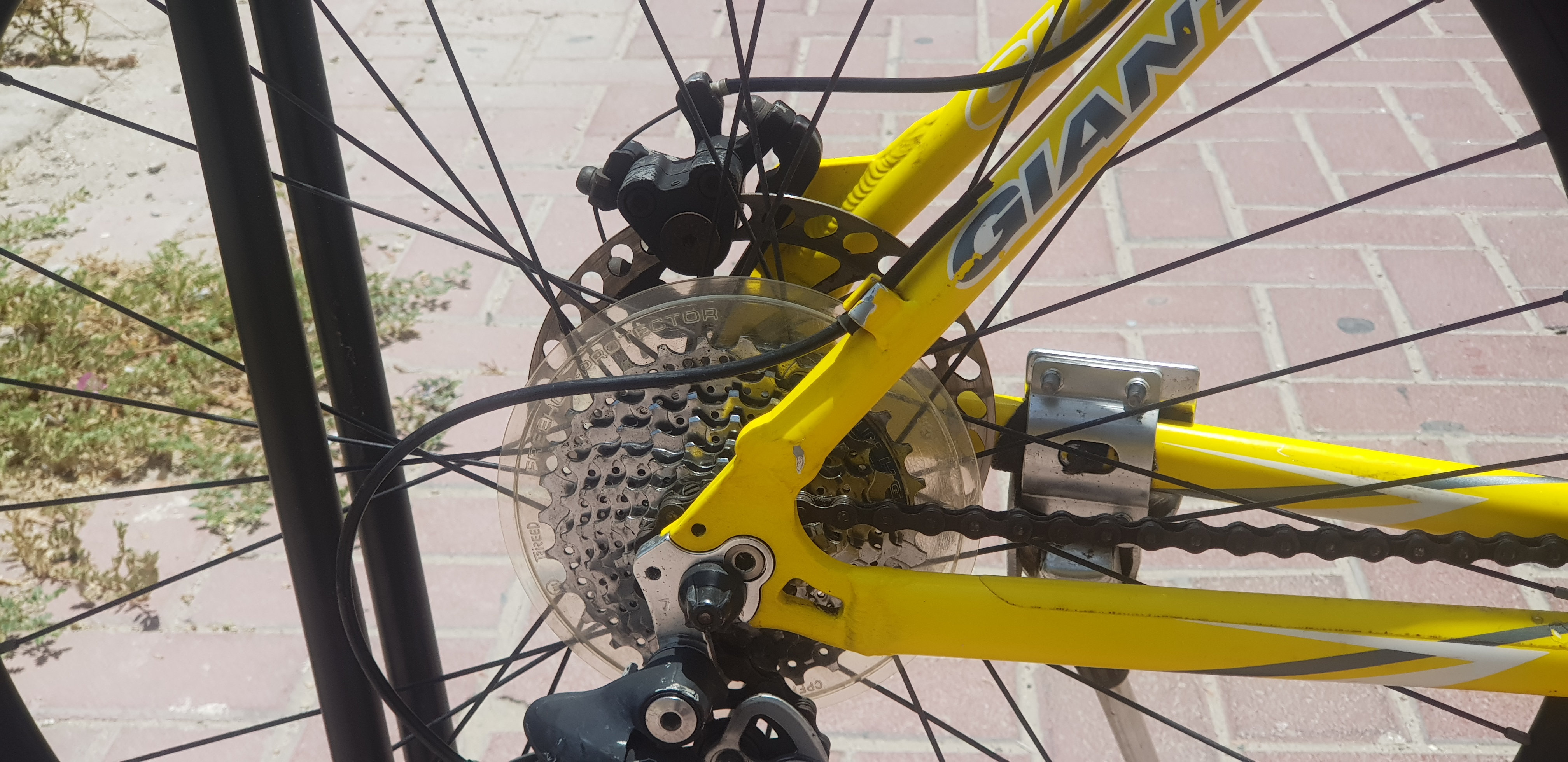 giant rock 5500