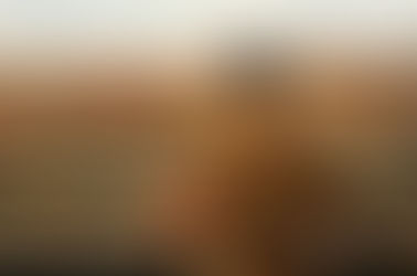 Why Everything the Left Dislikes is Suddenly a Step Towards Authoritarianism