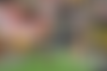 Irish Report Card: Notre Dame 48, Southern Cal 20