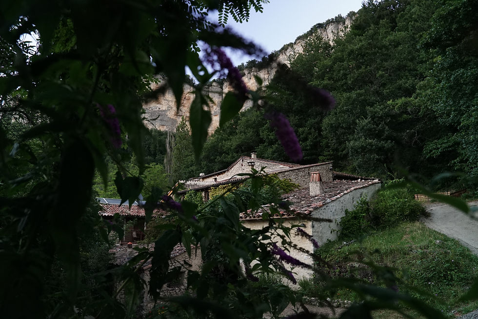 La maison