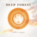 Deep Forest "LIVE" Made in Japan