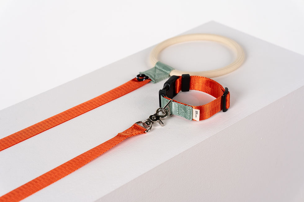 Thumbnail: Rupel Collar - Orange Red