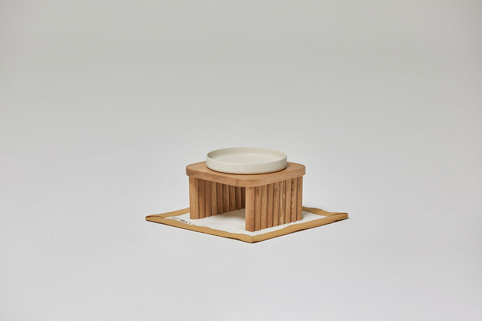 Thumbnail: DAN Table & DAN Mat (12cm)