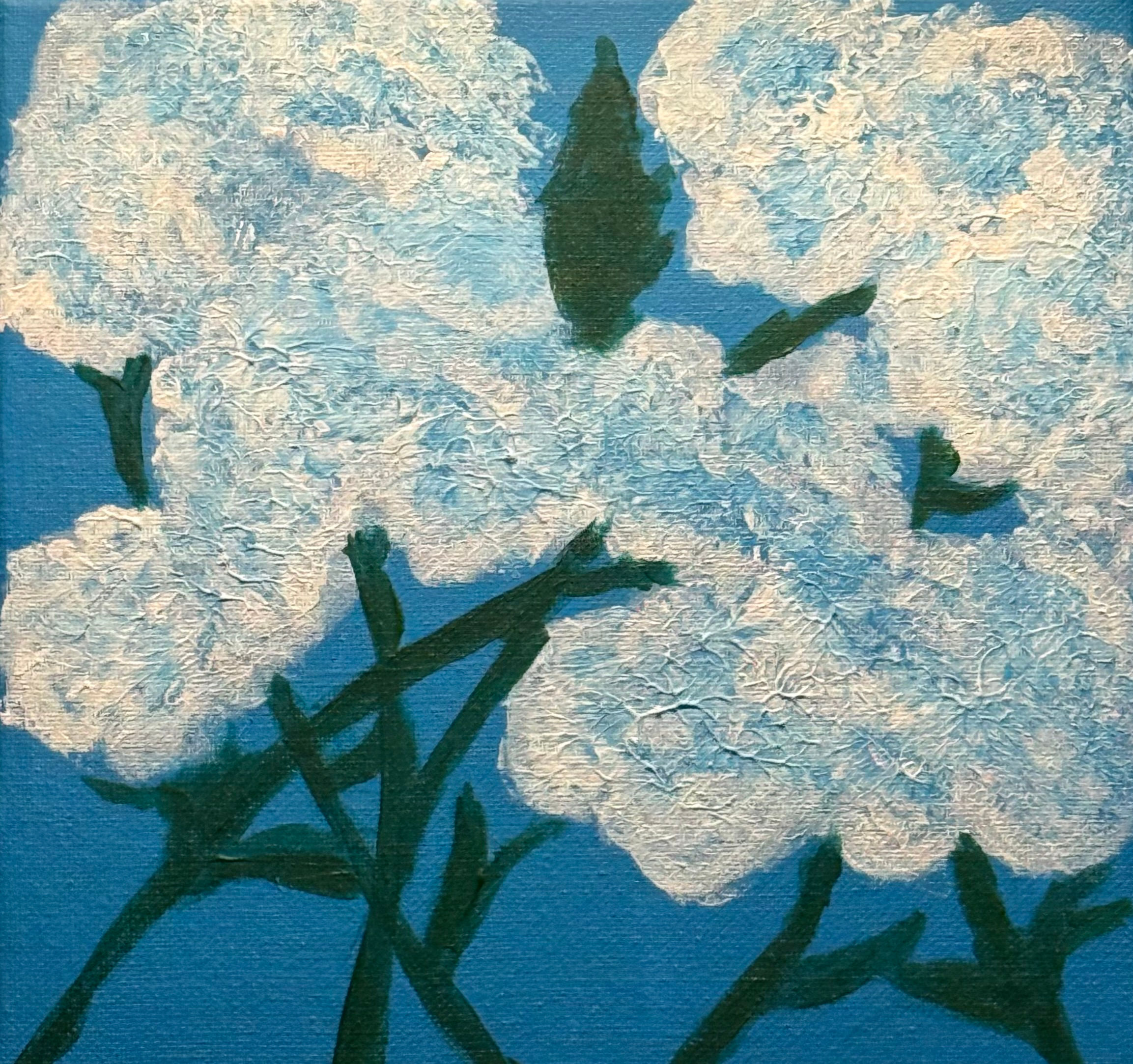 Hydrangeas