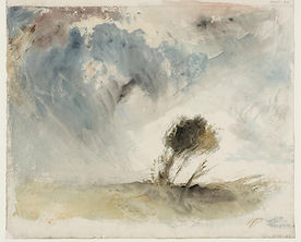 Trees in a Strong Breeze with Blustery C