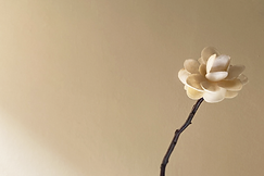 5795173D-4E34-4E45-856B-5850AD2580ED edit.png