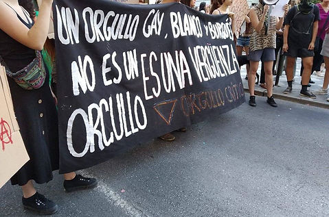4 bloque crÃtico orgullo granada 2019 (2).jpg