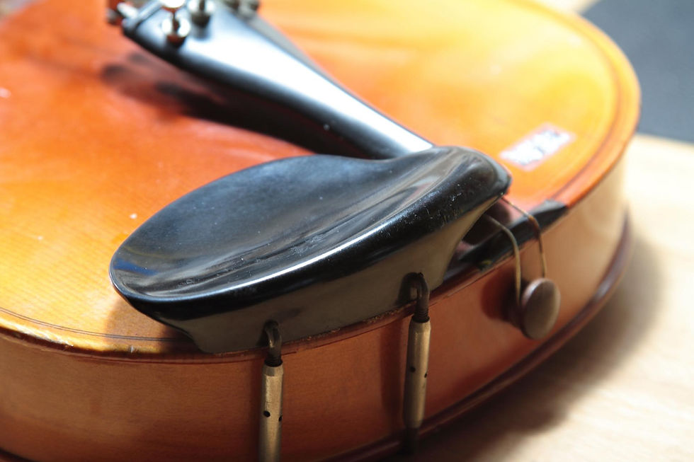 塑料的腮托和拉弦板