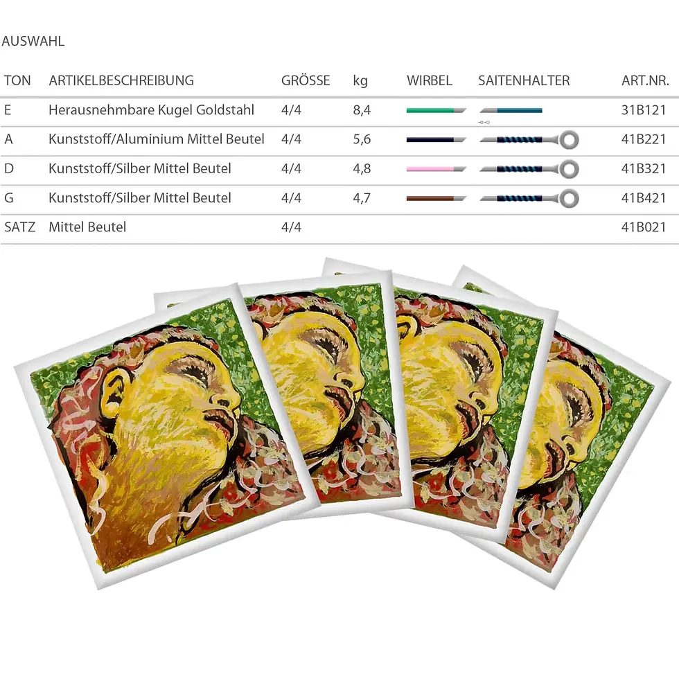 縮圖：德國Pirastro Evah Pirazzi Neo 小提琴弦