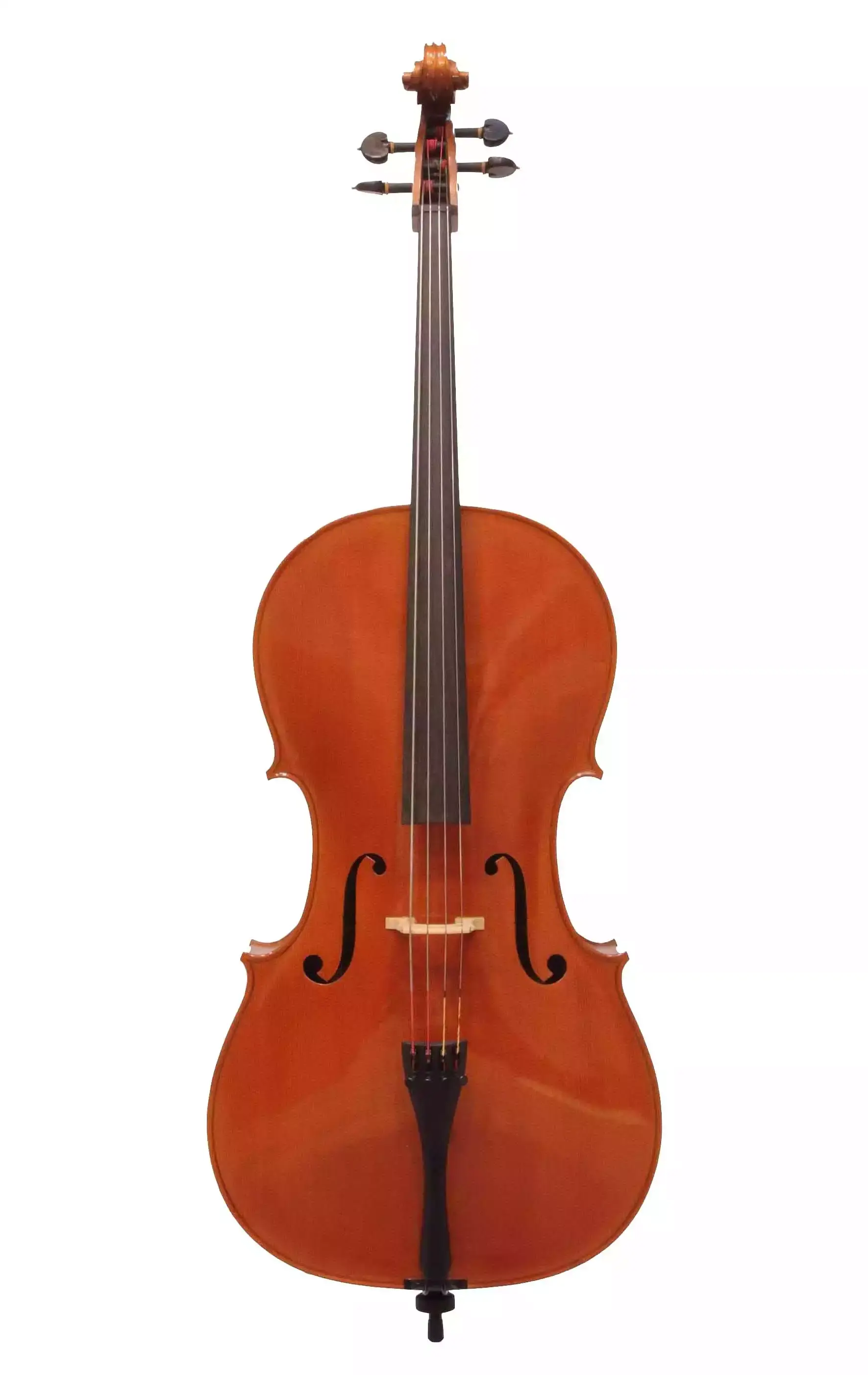 義大利Diego Plaza大提琴