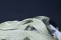 0199_pam - 井上創太.jpg