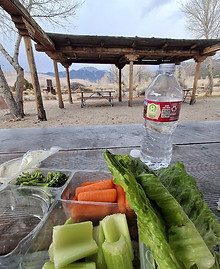 Healthy lunch with fruits and vegetables at the Great Sand Dunes after a trail run in Colorado.