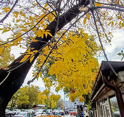 WhatsApp Image 2026-02-16 at 10.17.19.jpeg