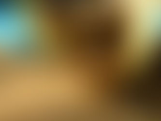 ミツバチ頑張ってます。。。