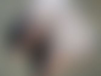 落ち葉を掃除しました。。。