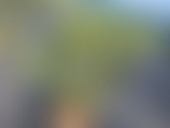 とりあえず夏剪定終了。。。