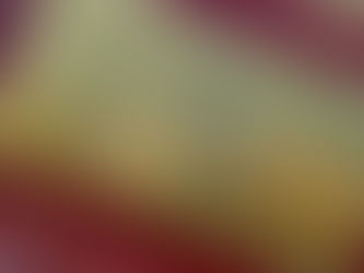 全国第3位おめでとう。。。