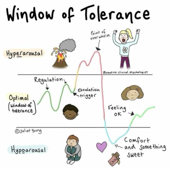 a graphic describing the window of tolerance