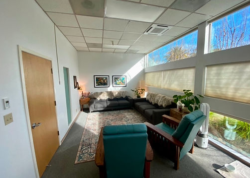 Therapy Office in Sebastopol, California.