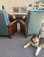 Dog in therapy office