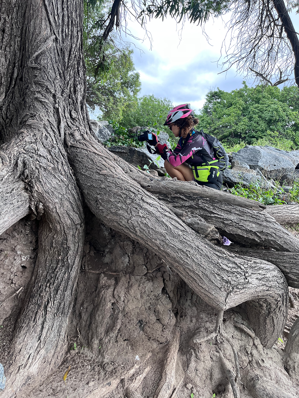 Registro de Campo: Artista botânica da Caatinga