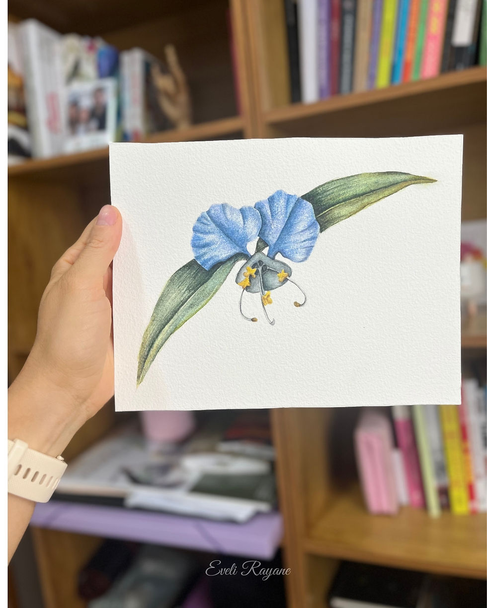 Flor Mariana