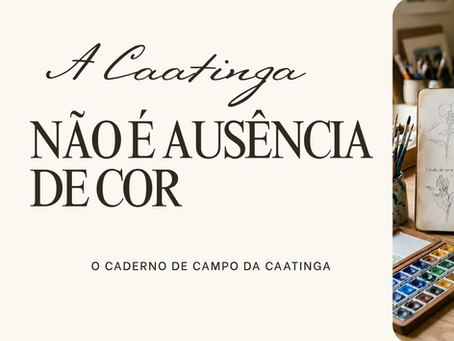A caatinga não é ausência de cor. Projeto de observação, arte e território.