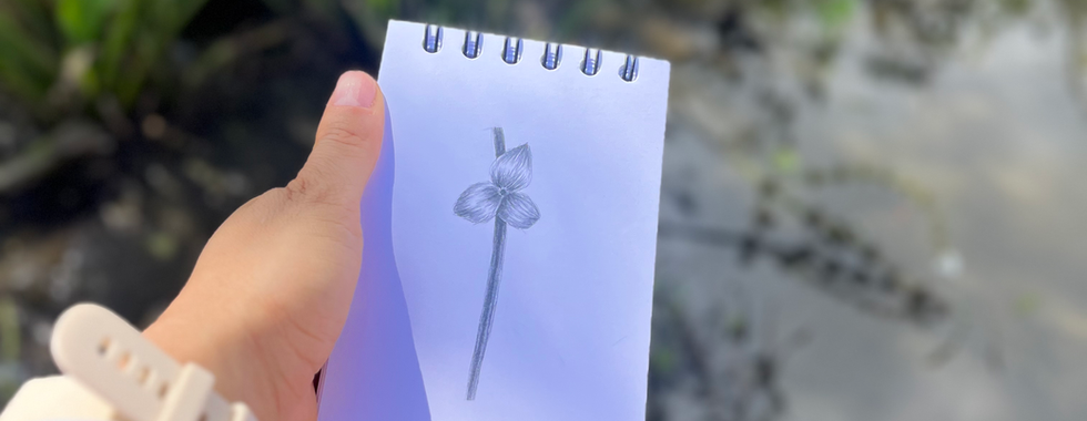 caderno de campo da caatinga