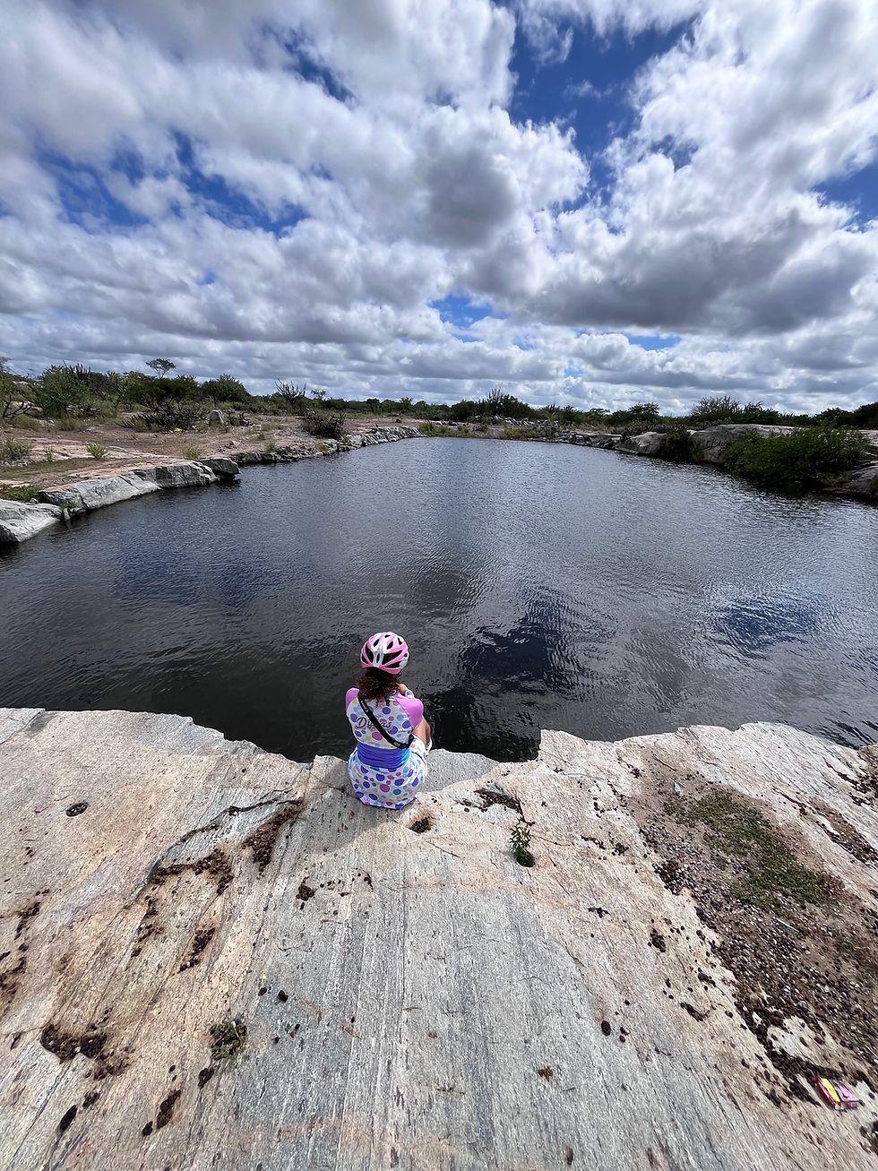 Paisagem da Caatinga durante o outono no semiárido baiano, com vegetação verde após as chuvas, registros de flores encontradas em campo, estudos botânicos em sketchbook e observações sobre os diferentes ritmos de floração entre Jaguarari e Petrolina.