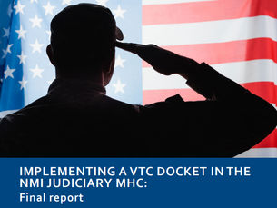Judiciary Completes Veterans Treatment Court Docket Viability Study