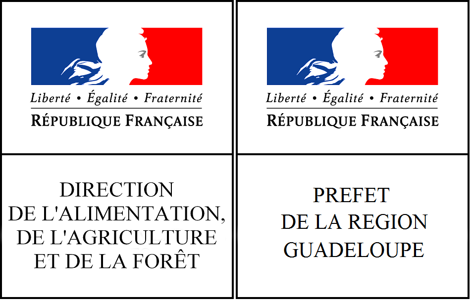logoDAAF.png