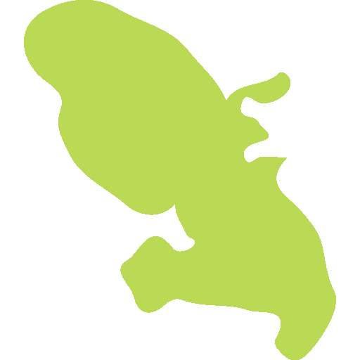 afp97-martinique copie.png