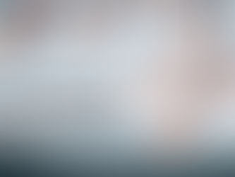 Ръководство за внос на храни в Япония