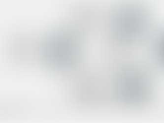 Domain Name Server (DNS)