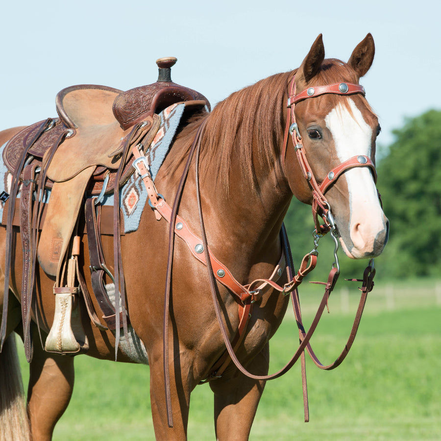 Miniatura: Tirante per abbassatesta Heavy Harness Leather