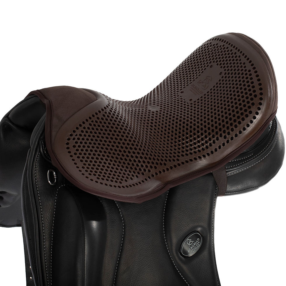 Miniatura: Copriseggio Dressage Standard Acavallo