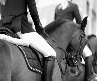 Articoli per la monta inglese