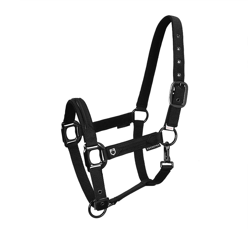 Miniatura: Cavezza Elegance in Nylon e Pile
